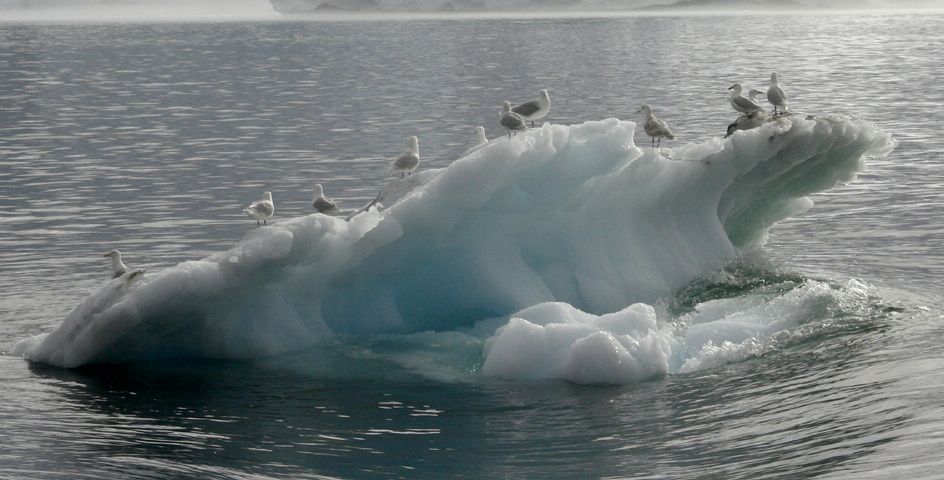 Sermeq Kujalleq glacier melting climate change