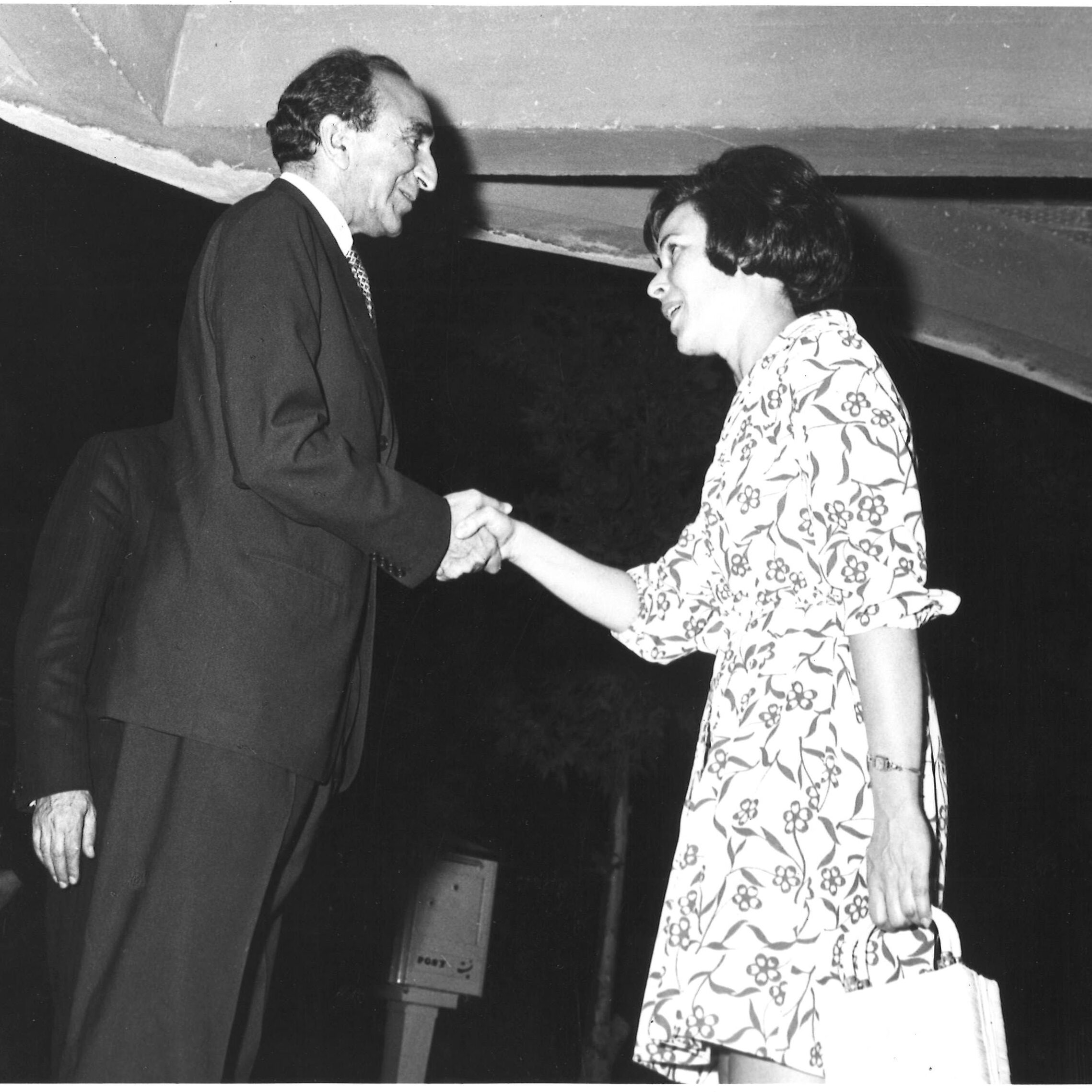 Woman in a dress shakes a man in a suits hand.