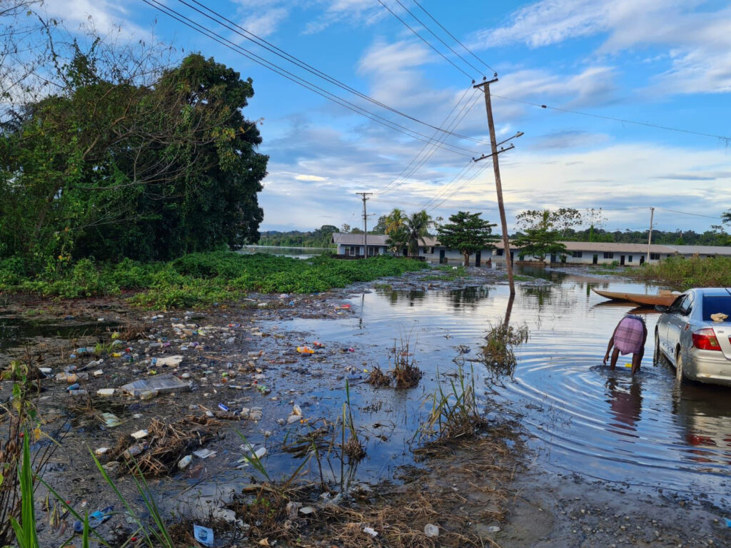 A flooded area in Suriname