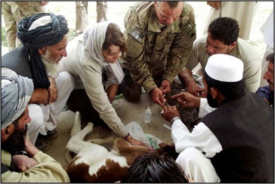 An American man in a military uniform sits with a group of Pakistani people as they tend to a calf.