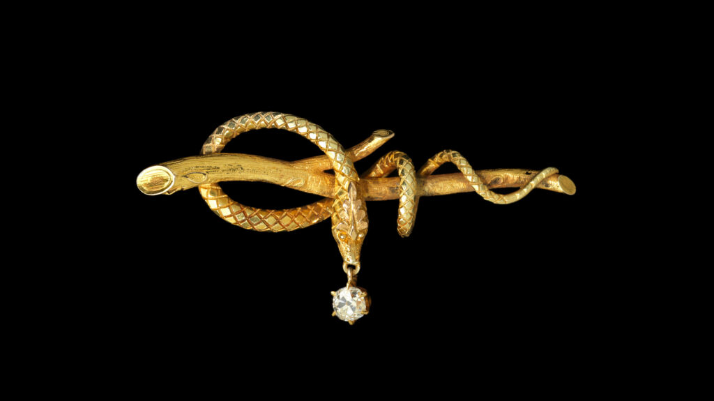 a gold serpent pin