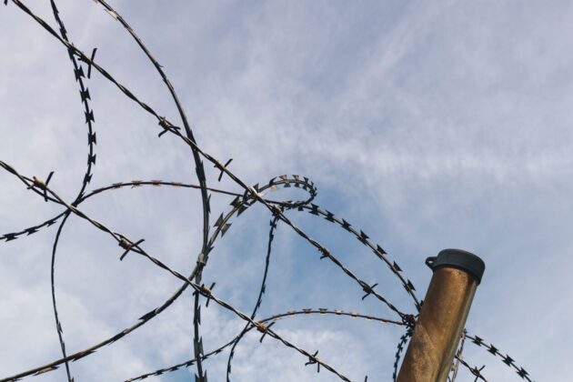 Photograph displaying a barbed wire fence and fence pole.