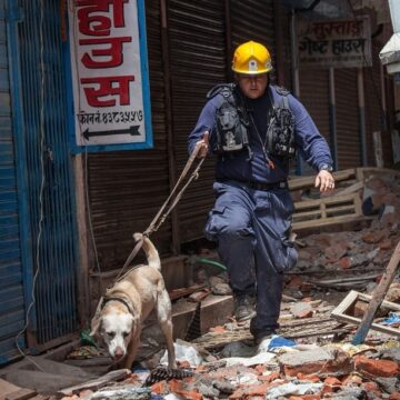Firefighter walks with a dog among rubble